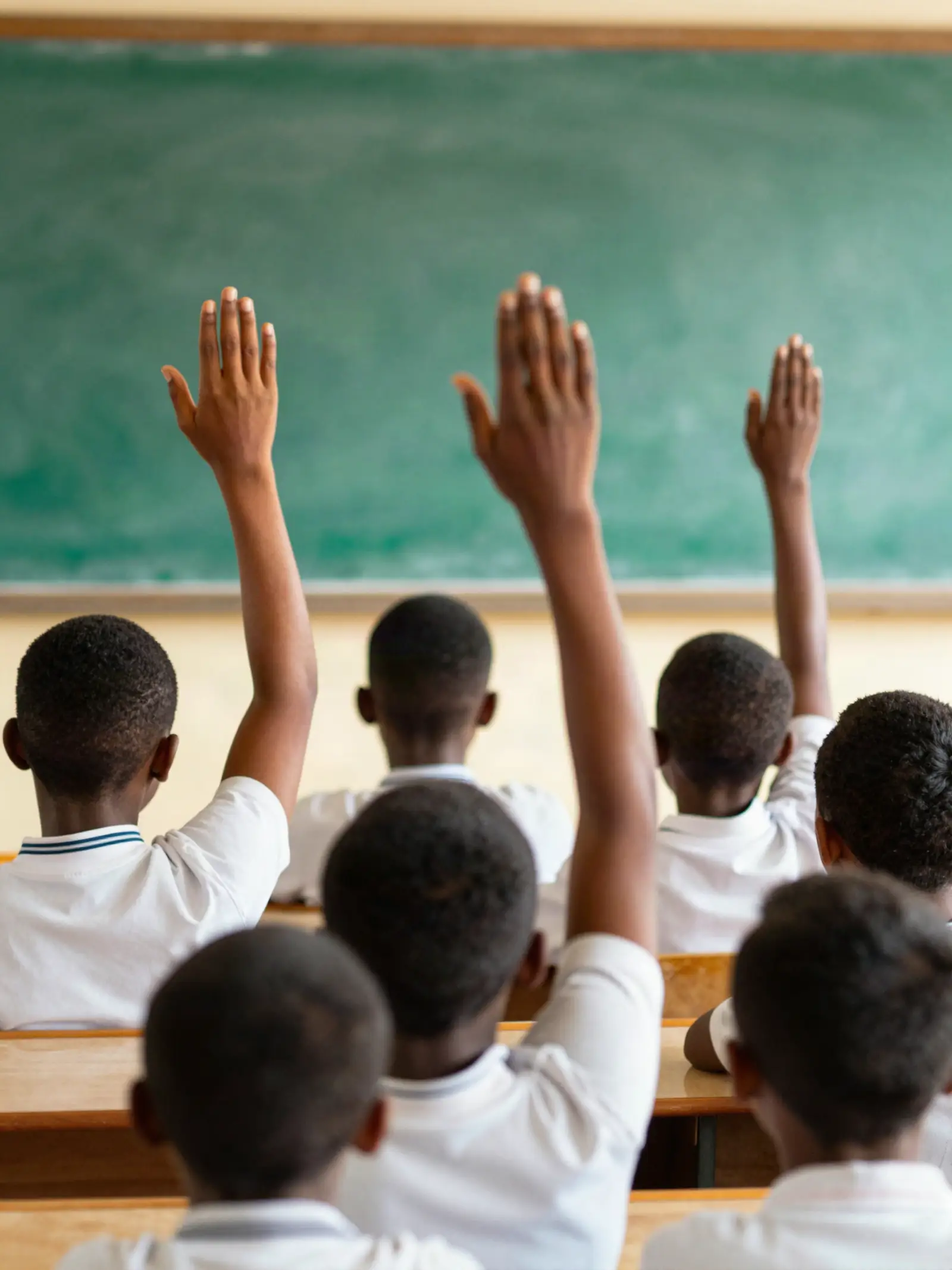 Des élèves de dos lèvent la main en classe